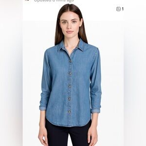 Anthropologie Thread & Supply Chambray Button Down Shirt Medium